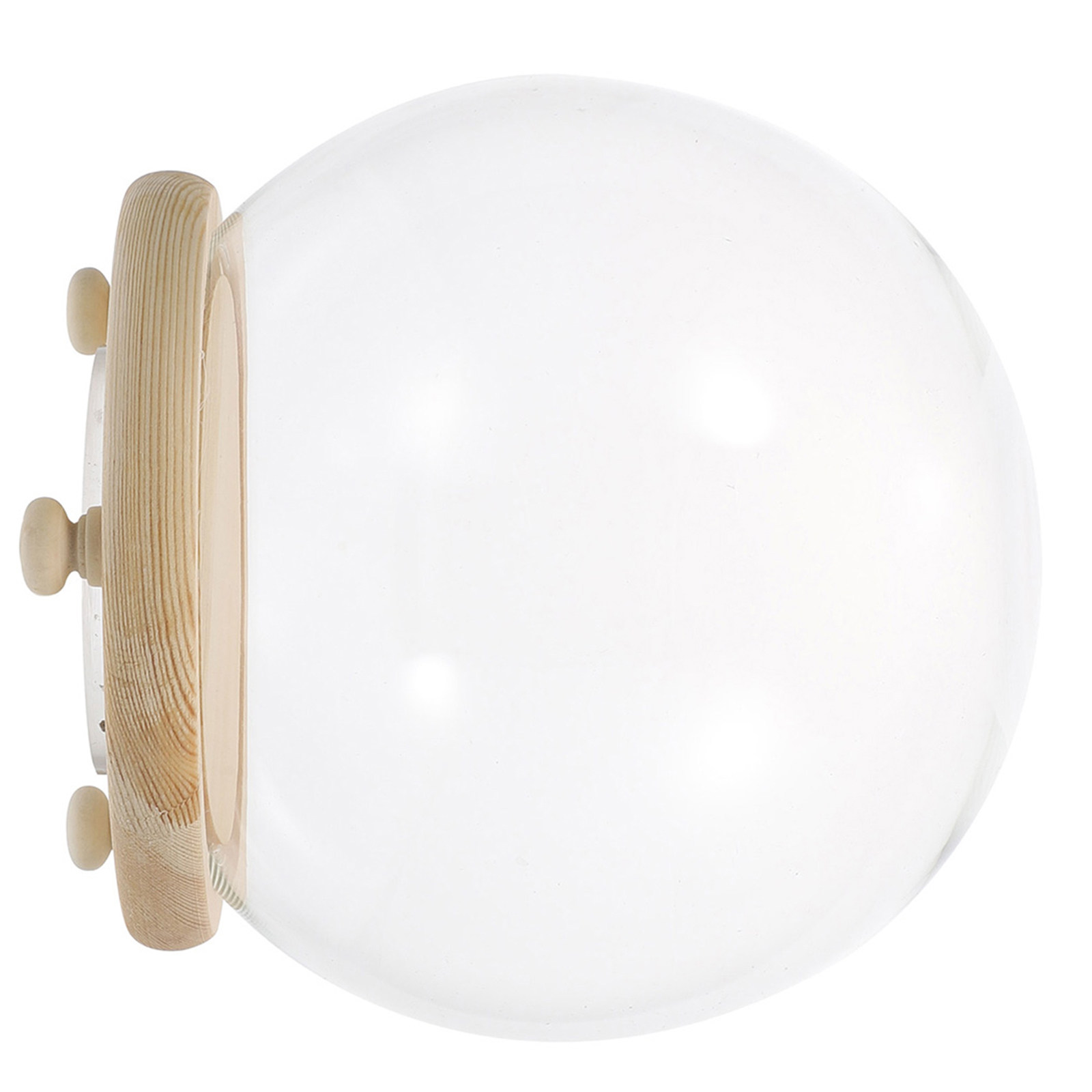 Cúpula de cristal para flores  - Plastic Dome Clear reseña y precio